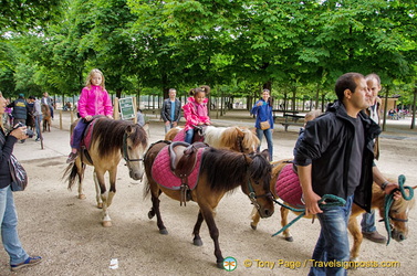 Horse-riding tours for kids